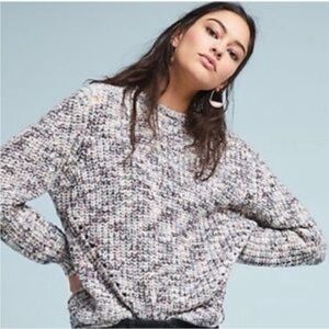 NWT crescent Hoop Earrings